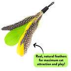 Cat Wand Toy Bundle with Telescoping Feather Wand and Replacement Feather Attachment for Interactive Hunt Play