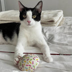 Catnip Donut Hole Toy Set, Six Assorted Sprinkle Designs for Playful Indoor Cats · catnip donut hole toys