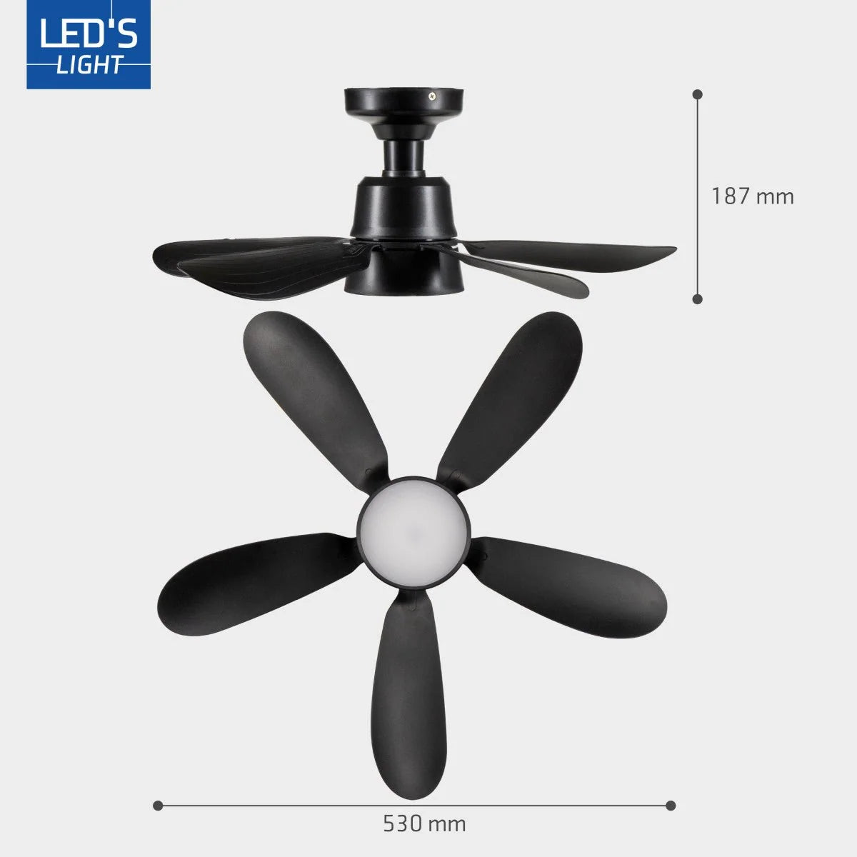 Ceiling Fan Light