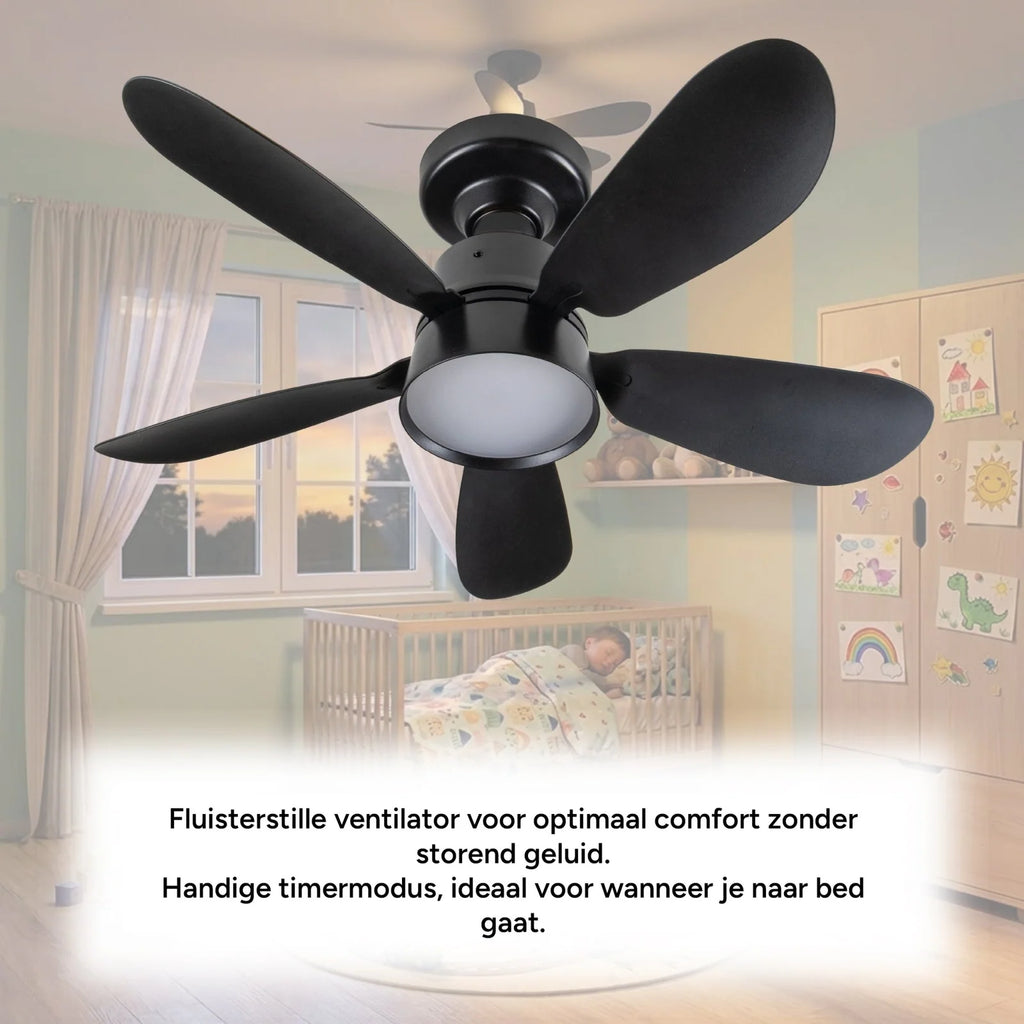 Ceiling Fan Light