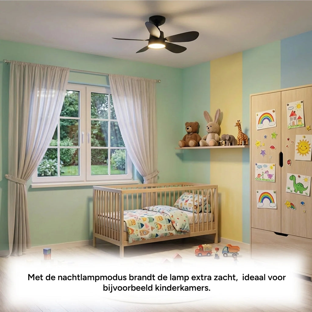 Ceiling Fan Light