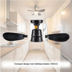 Ceiling Fan Light