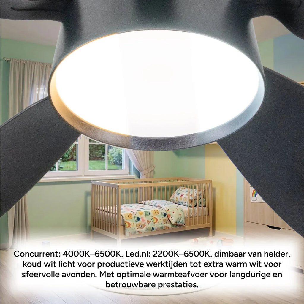 Ceiling Fan Light