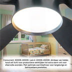 Ceiling Fan Light