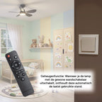 Ceiling Fan Light