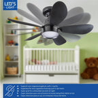 Ceiling Fan Light