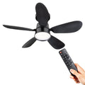 Ceiling Fan Light