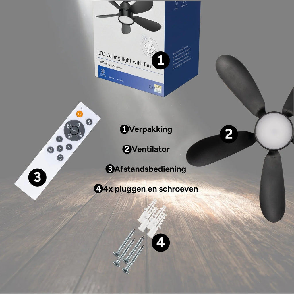 Ceiling Fan Light