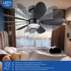 Ceiling Fan Light