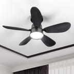 Ceiling Fan Light