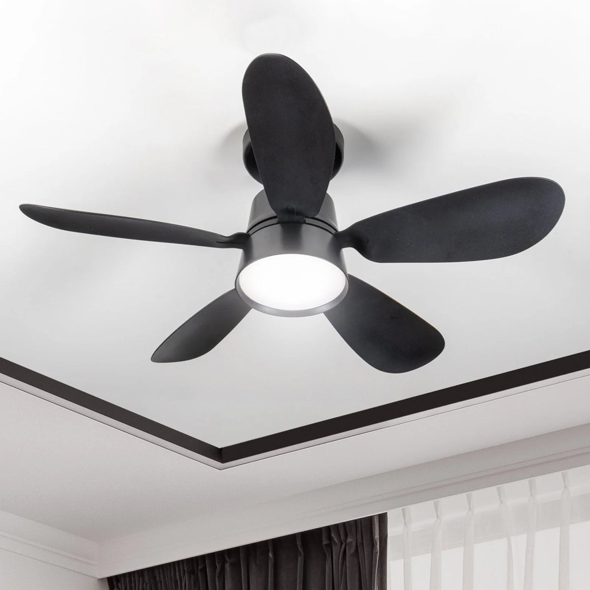 Ceiling Fan Light