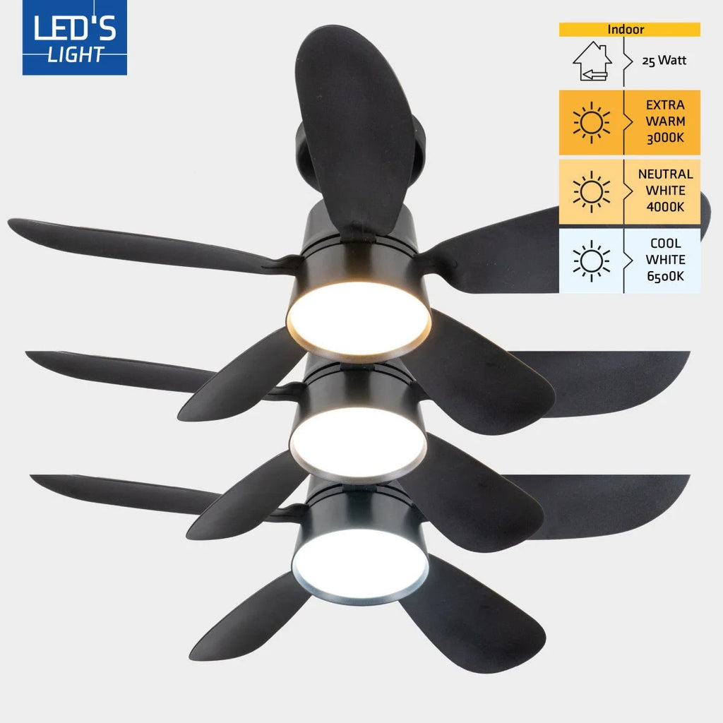 Ceiling Fan Light