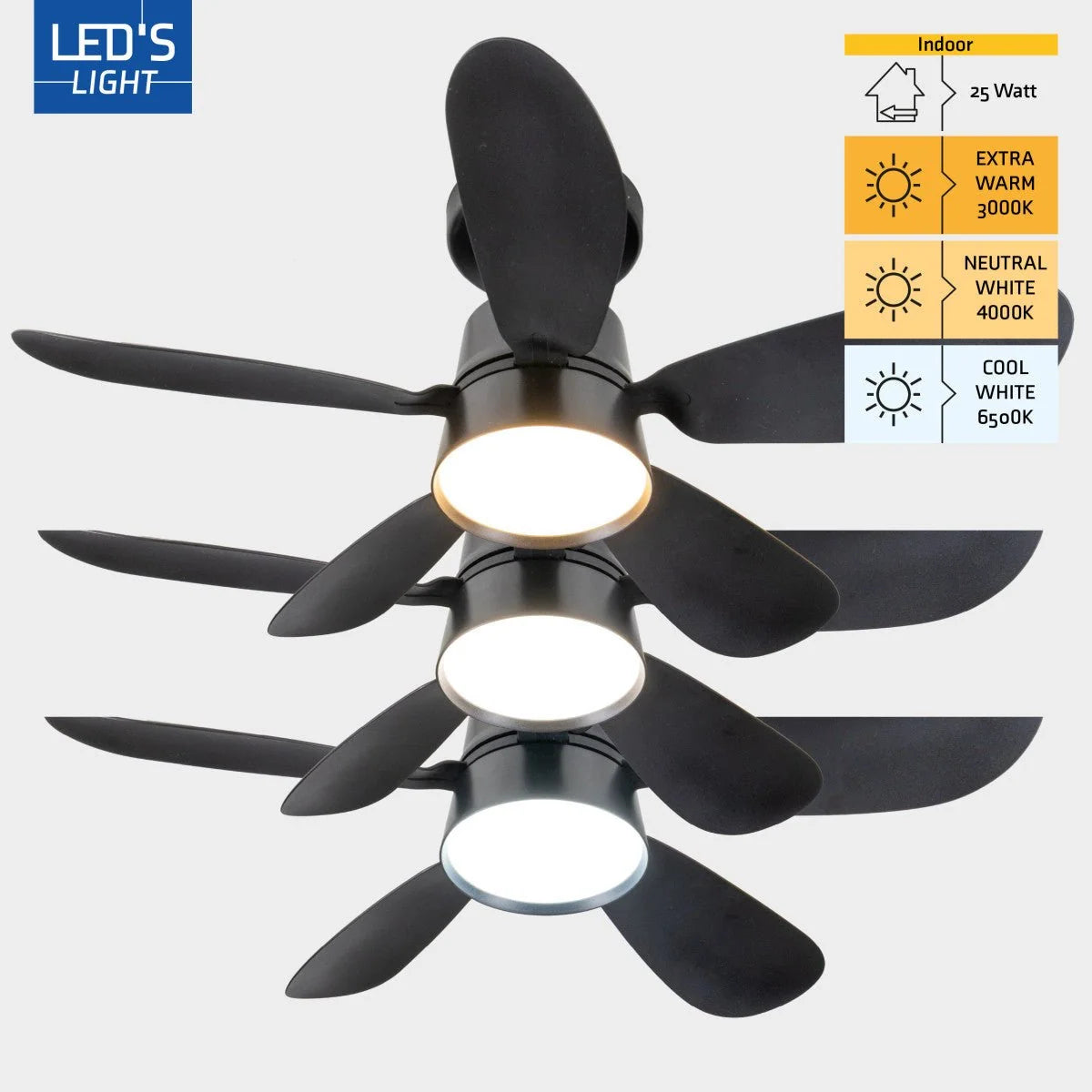 Ceiling Fan Light