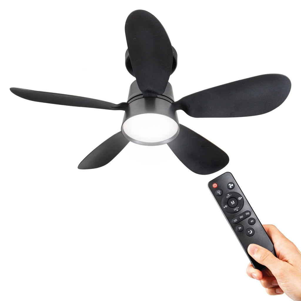 Ceiling Fan Light