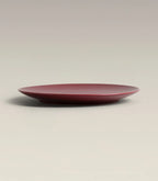 Ceramic Dinner Plates with Rimless Coupe Design in Nine Colors for Breakfast, Brunch, Lunch, Dinner and Everyday Meals