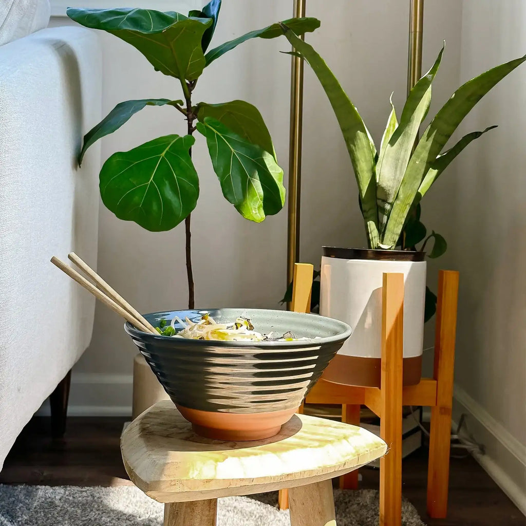 Ceramic Ramen Bowls, Set of Two, Each Holding 45 oz, Shaped for Brothy Noodles and Visible Toppings