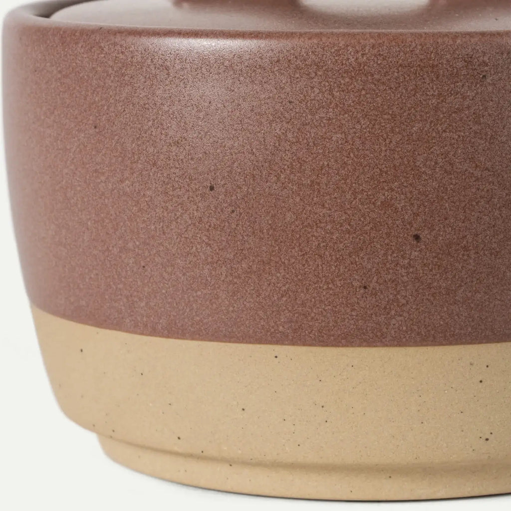 Ceramic Salt and Pepper Cellars Set with Fitted Lids and Small Spoons for Seasoning at the Stove or Table