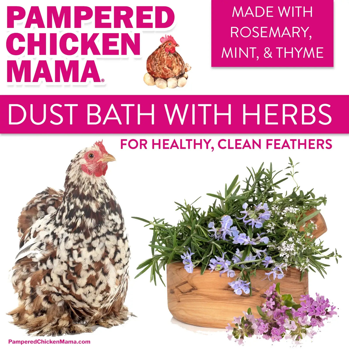 Chicken Dust Bath
