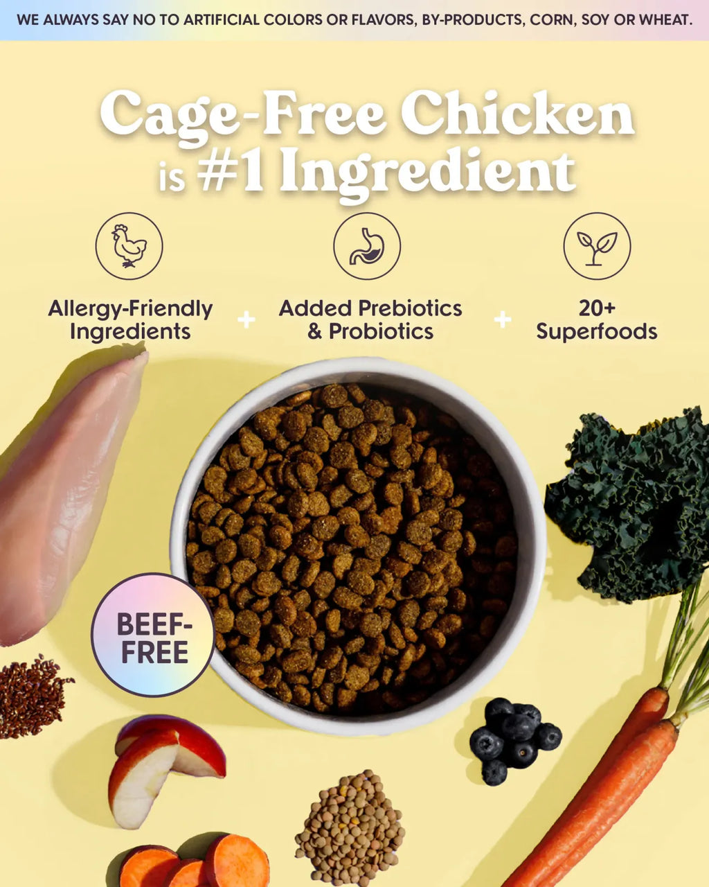 Chicken-First Grain Free Dog Food