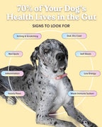 Chicken-First Grain Free Dog Food