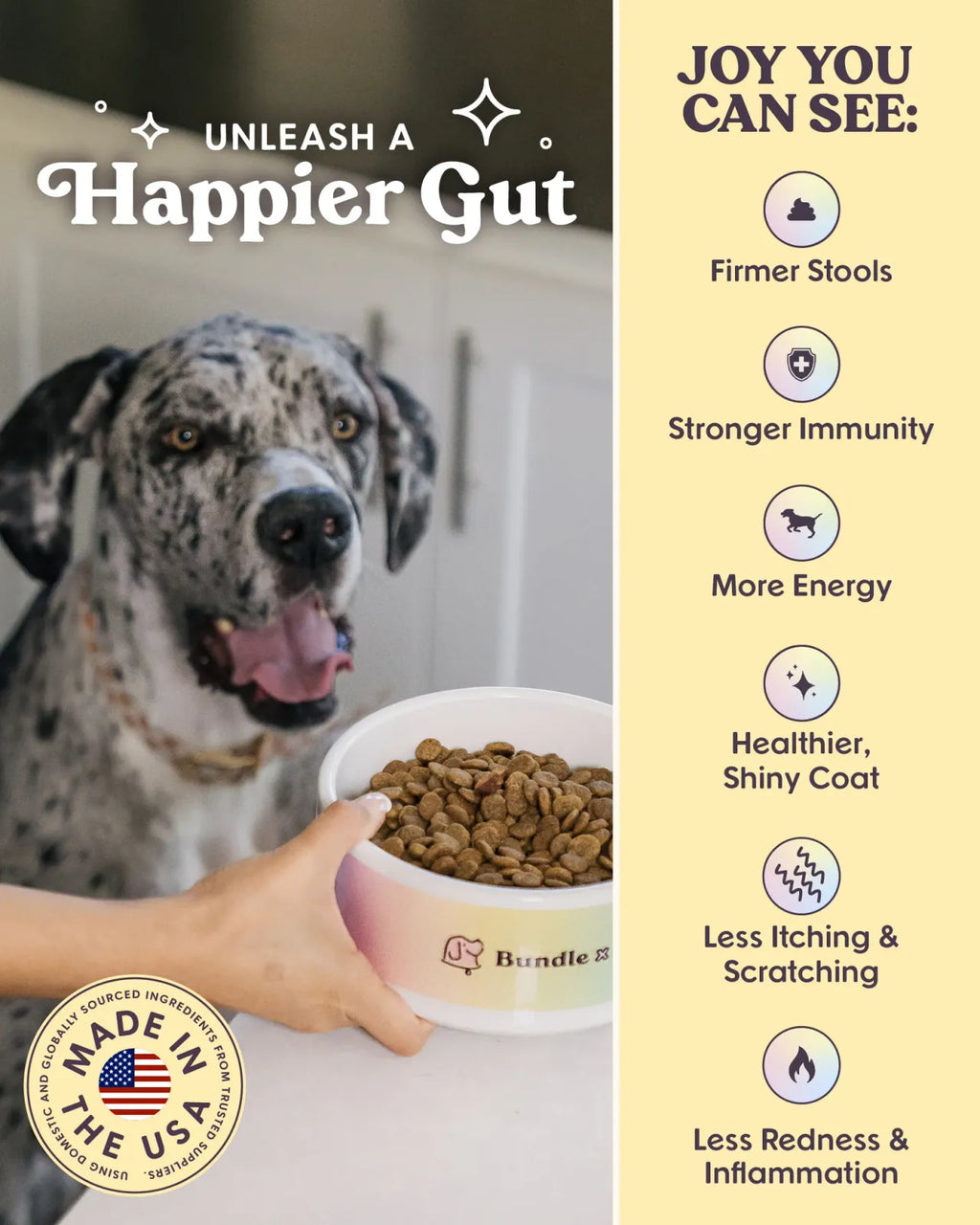 Chicken-First Grain Free Dog Food