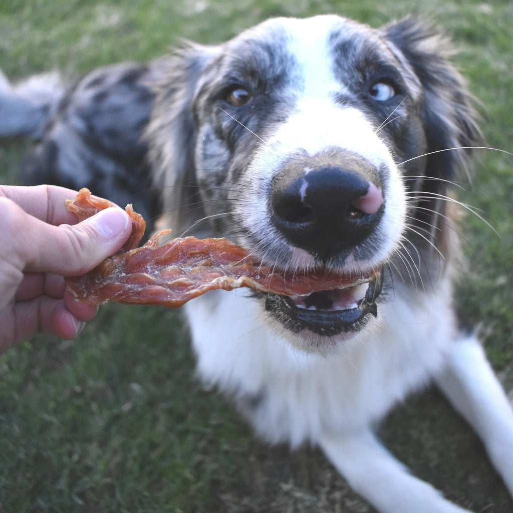 Chicken Jerky Dog Treats Made from Australian Chicken Breast