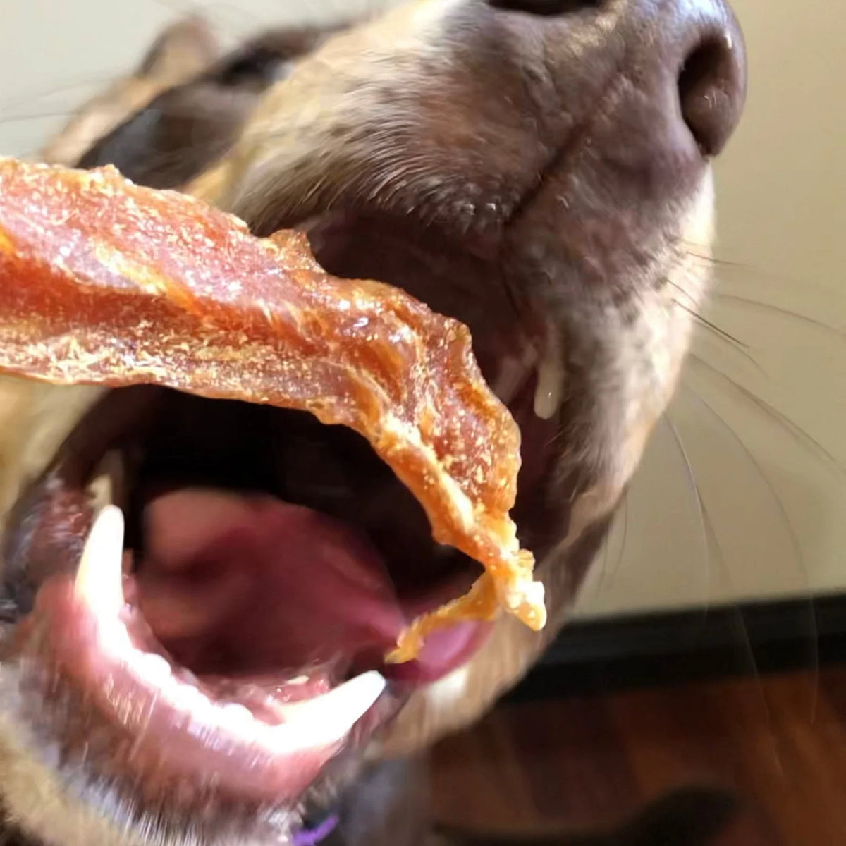 Chicken Jerky Dog Treats Made from Australian Chicken Breast