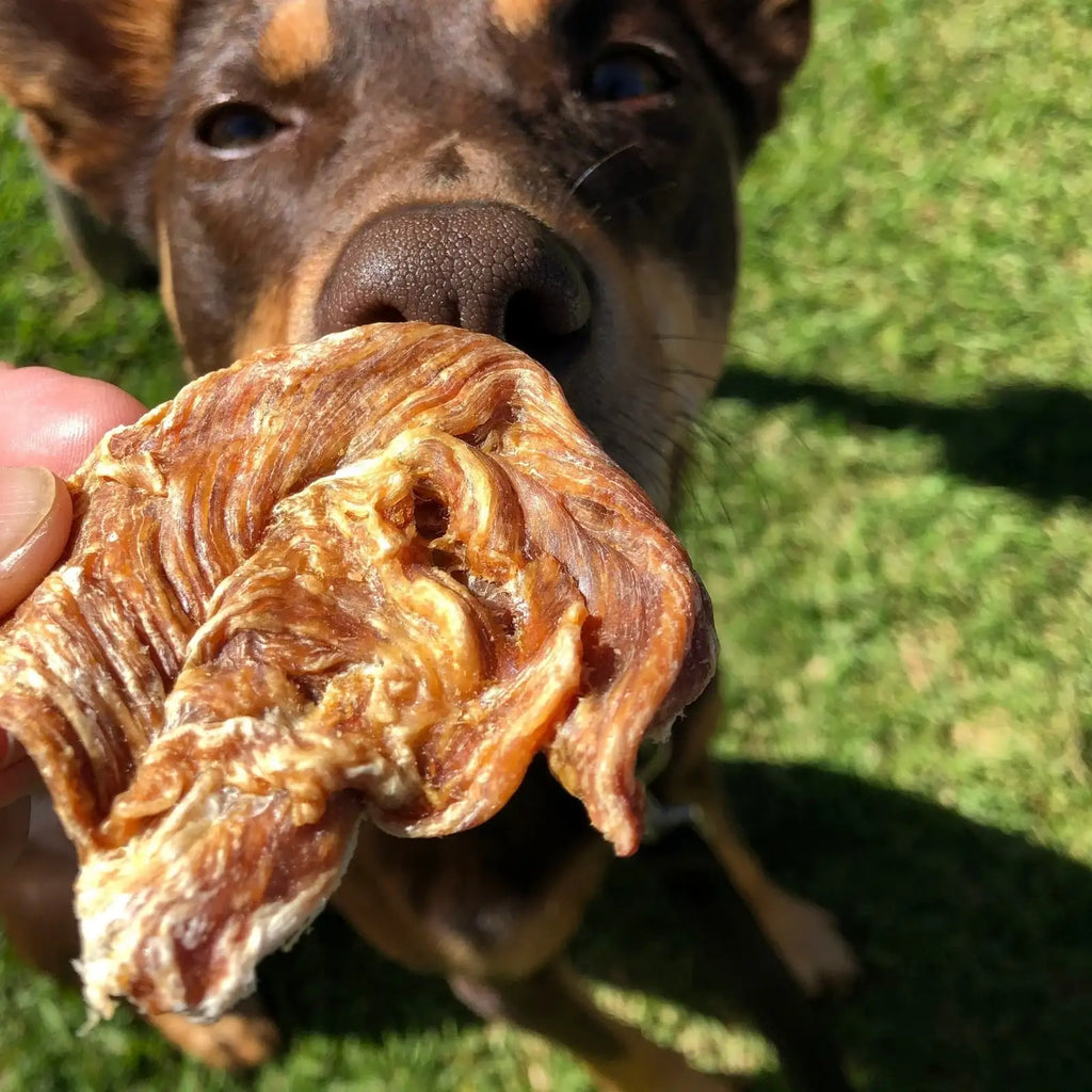 Chicken Jerky Dog Treats Made from Australian Chicken Breast