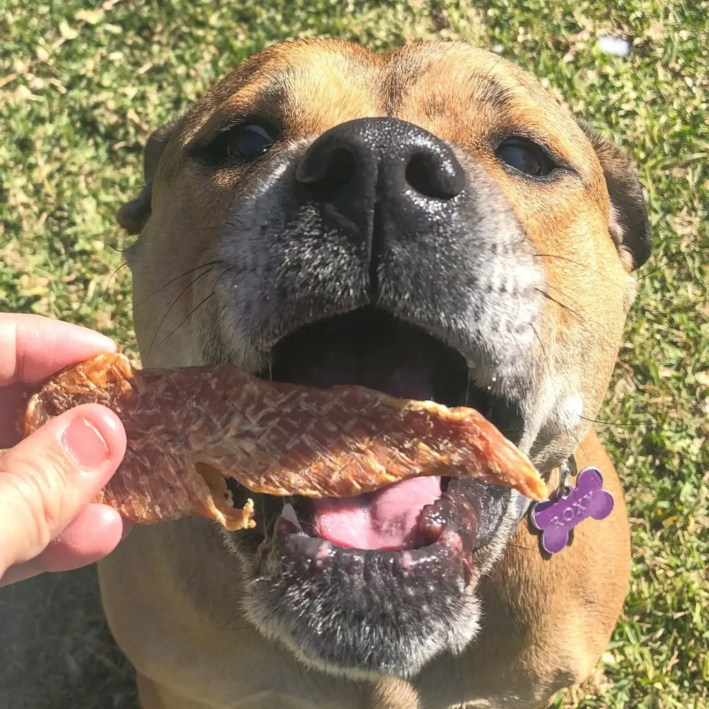 Chicken Jerky Dog Treats Made from Australian Chicken Breast
