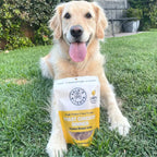 Chicken Jerky Dog Treats Made from Australian Chicken Breast