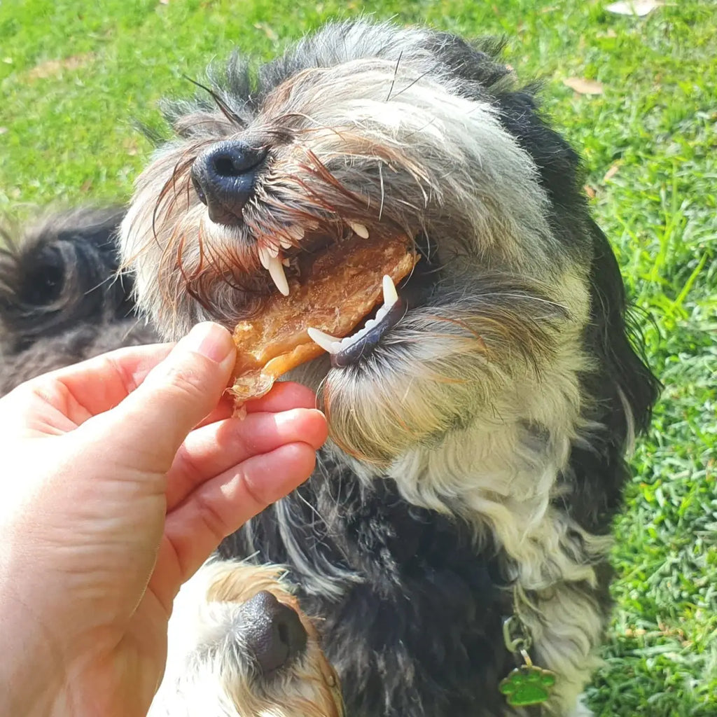 Chicken Jerky Dog Treats Made from Australian Chicken Breast