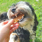 Chicken Jerky Dog Treats Made from Australian Chicken Breast