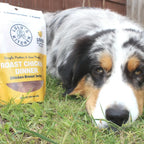 Chicken Jerky Dog Treats Made from Australian Chicken Breast