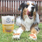 Chicken Jerky Dog Treats Made from Australian Chicken Breast