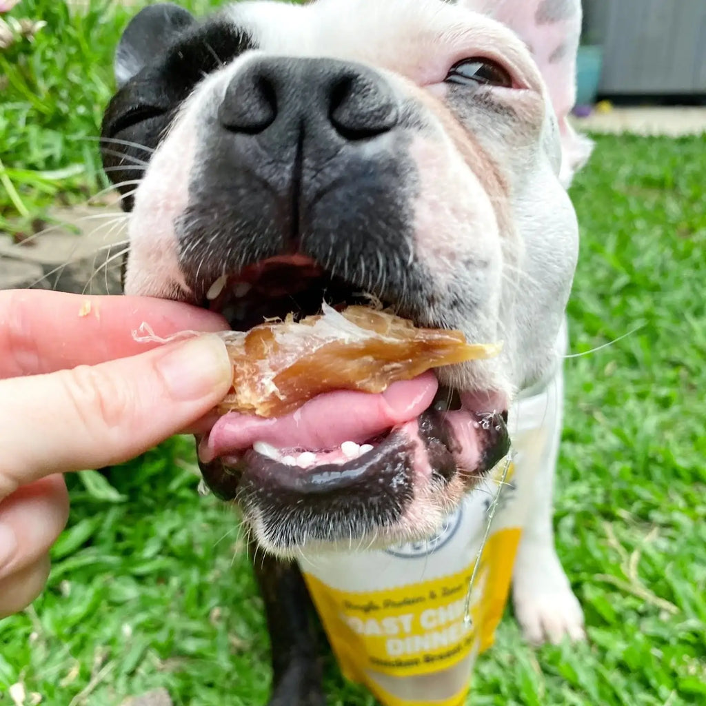 Chicken Jerky Dog Treats Made from Australian Chicken Breast