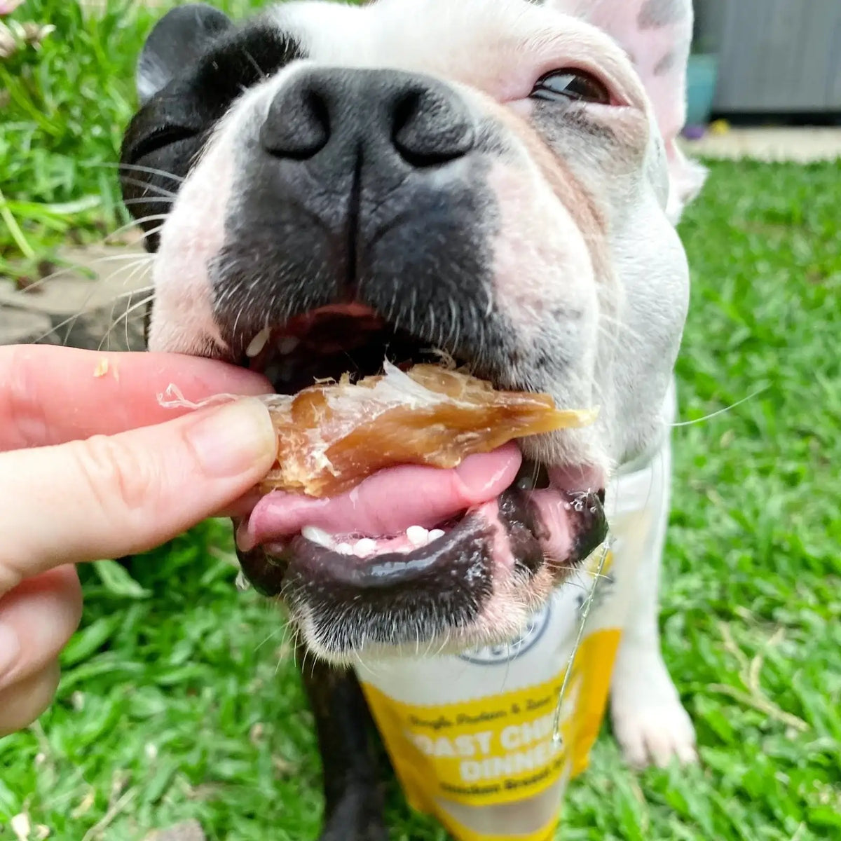 Chicken Jerky Dog Treats Made from Australian Chicken Breast