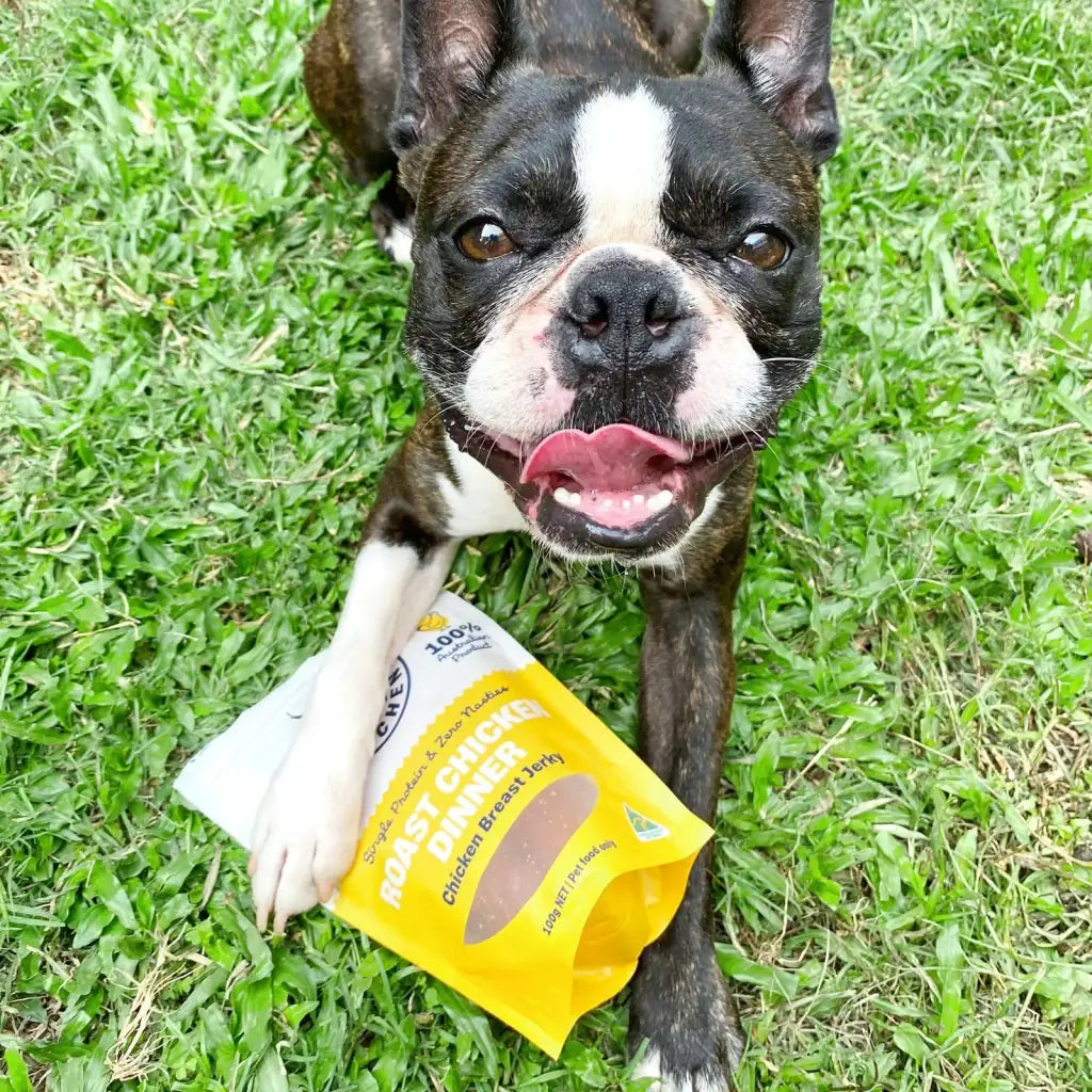Chicken Jerky Dog Treats Made from Australian Chicken Breast