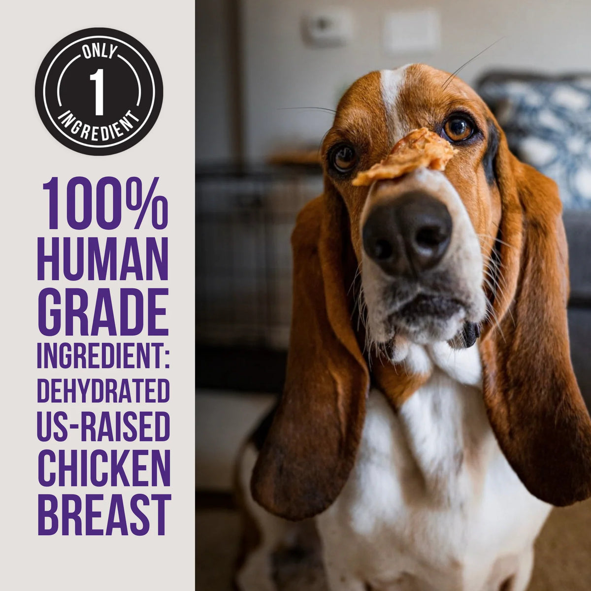 Chicken Jerky Dog Treats Made from Single-Ingredient Chicken