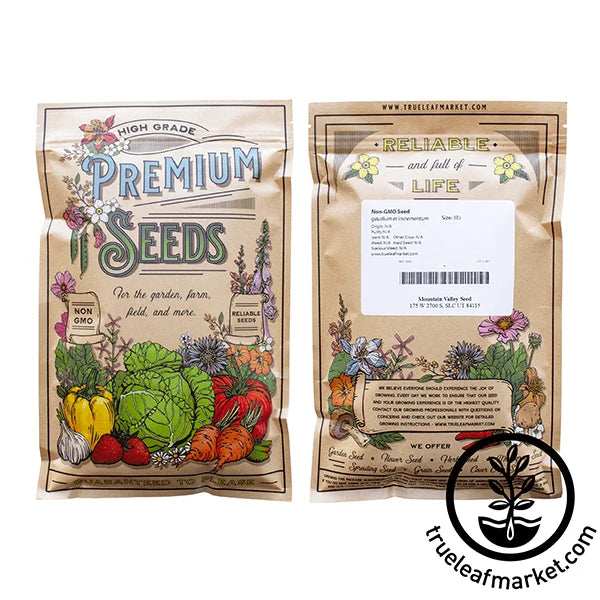 Cinnamon Basil Microgreen Seeds for Soil or Hydroponic Growing, Producing Tender Greens with Spiced Basil Flavor