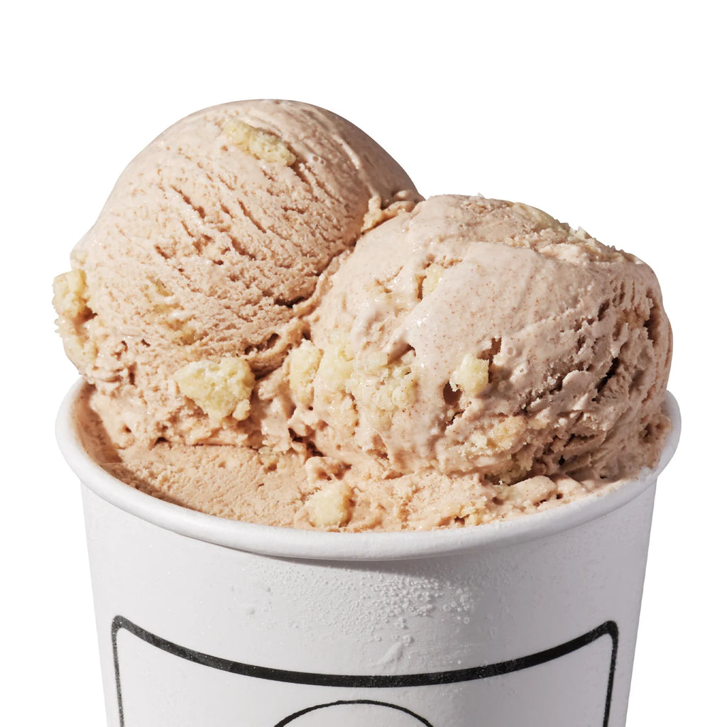 Cinnamon Snickerdoodle Ice Cream