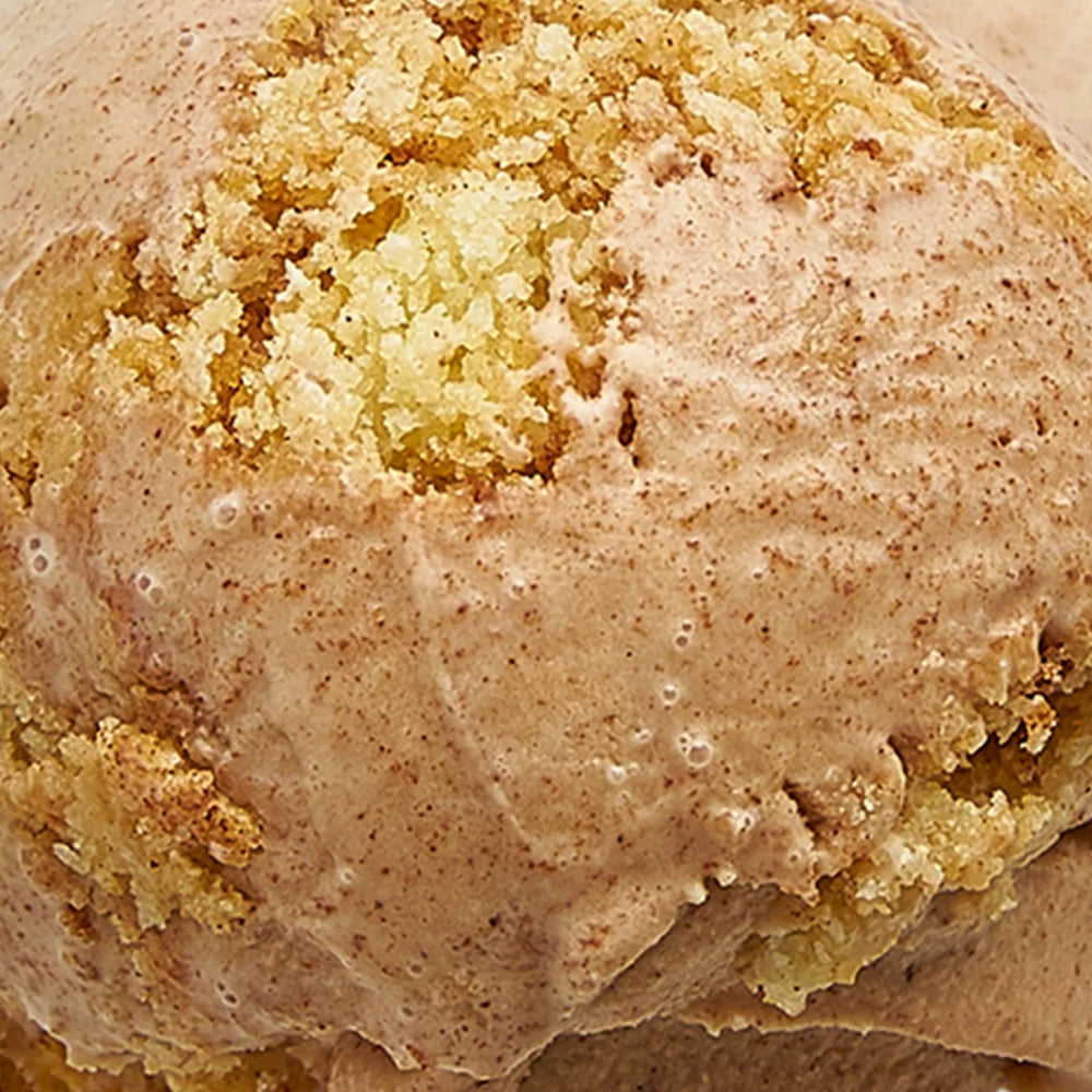 Cinnamon Snickerdoodle Ice Cream