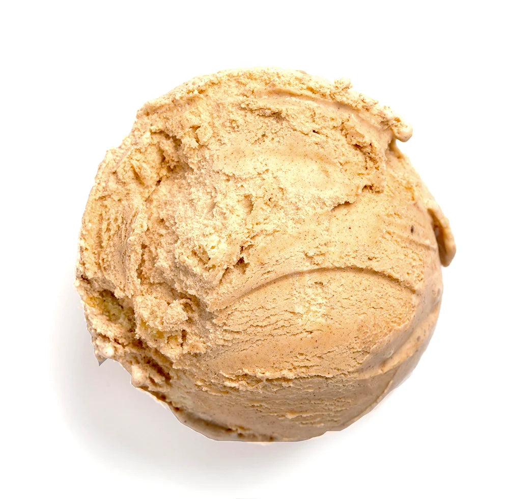Cinnamon Snickerdoodle Ice Cream