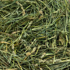 Coarse Orchard Grass Hay