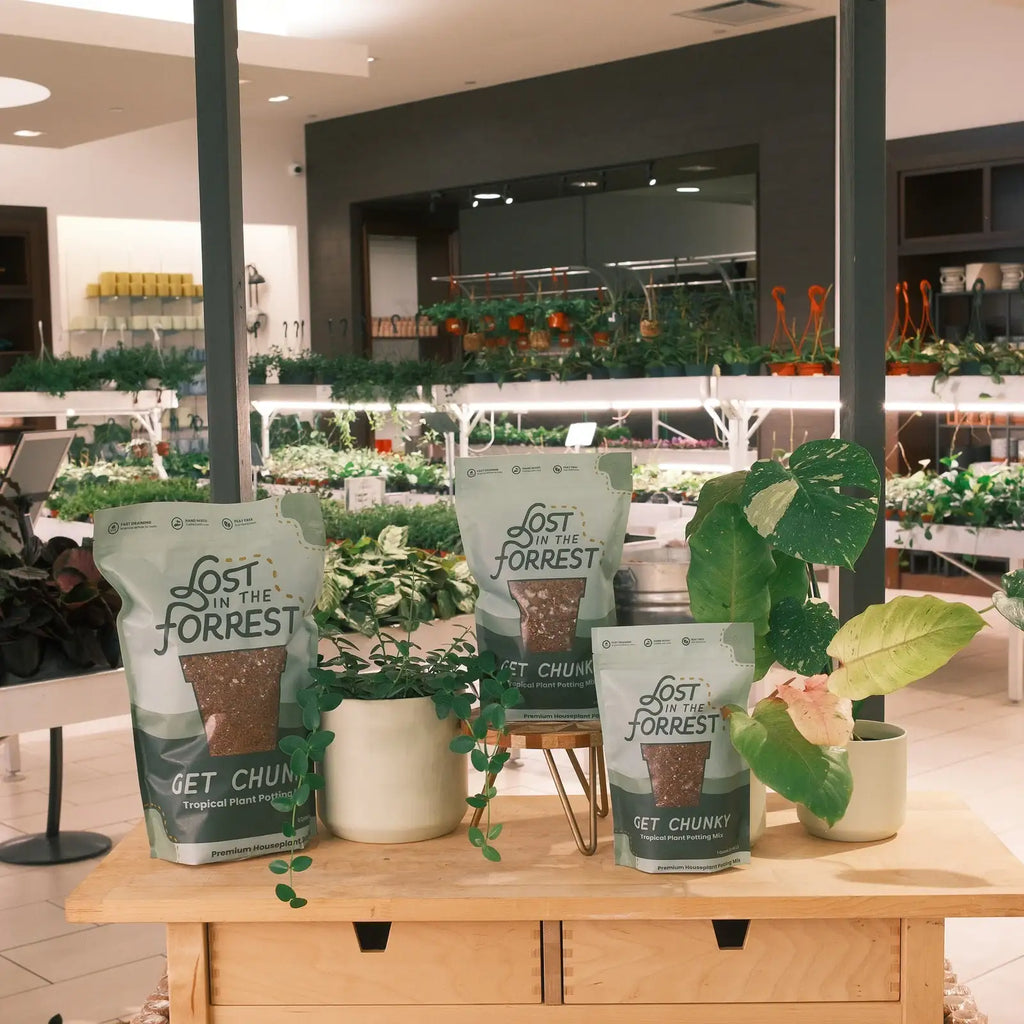 Coarse Tropical Plant Potting Mix