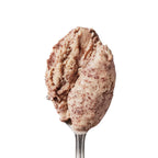Coffee Ice Cream