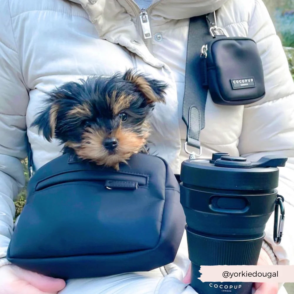 Collapsible Coffee Cup in Black for Coffee Stops on Dog Walks, 450ml Capacity and Compact Silicone Design