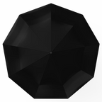 Compact Black Travel Umbrella