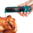 Cooking Thermometer