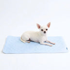 Cooling Dog Mat in Blue Hearts