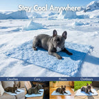 Cooling Dog Mat in Blue Hearts